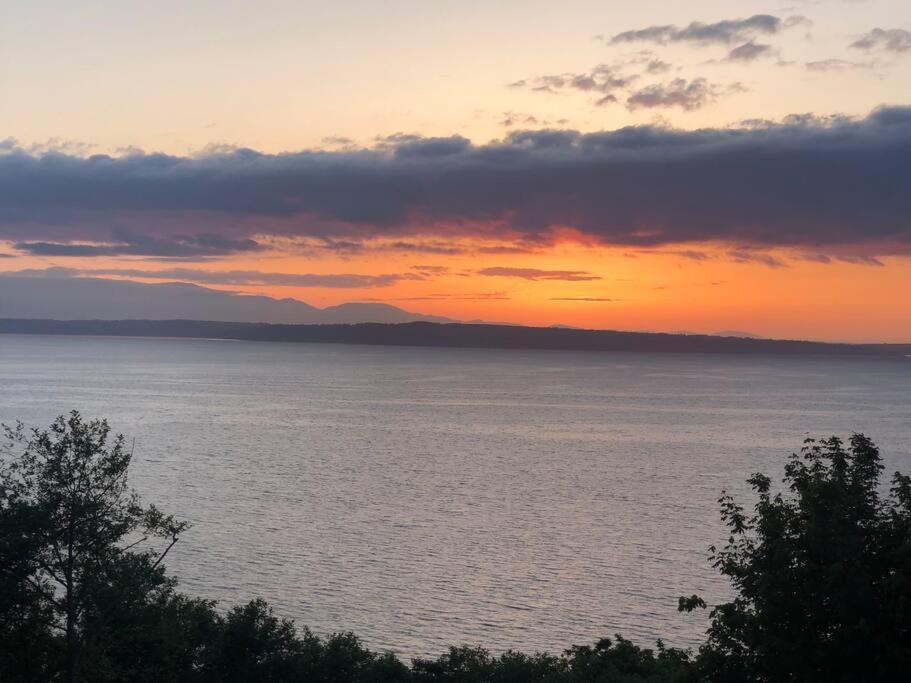 1-Bedroom Seaview Guesthouse On Seattle Luxury Estate With Views Of Olympic Mountains Extérieur photo