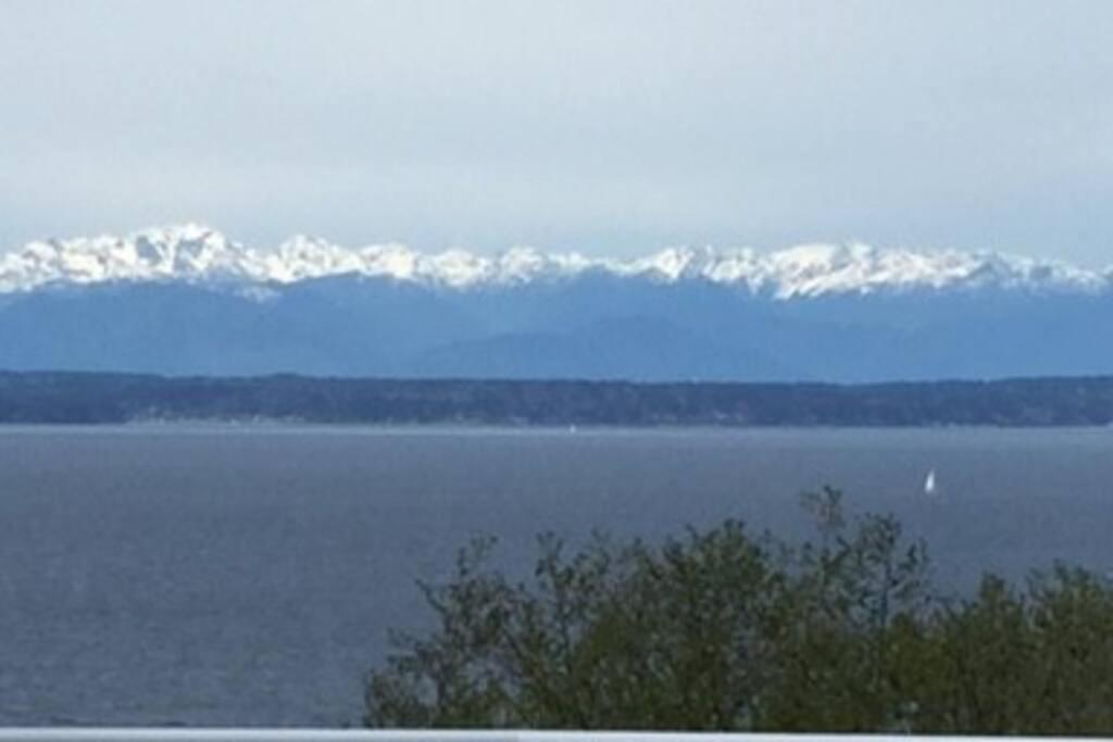 1-Bedroom Seaview Guesthouse On Seattle Luxury Estate With Views Of Olympic Mountains Extérieur photo