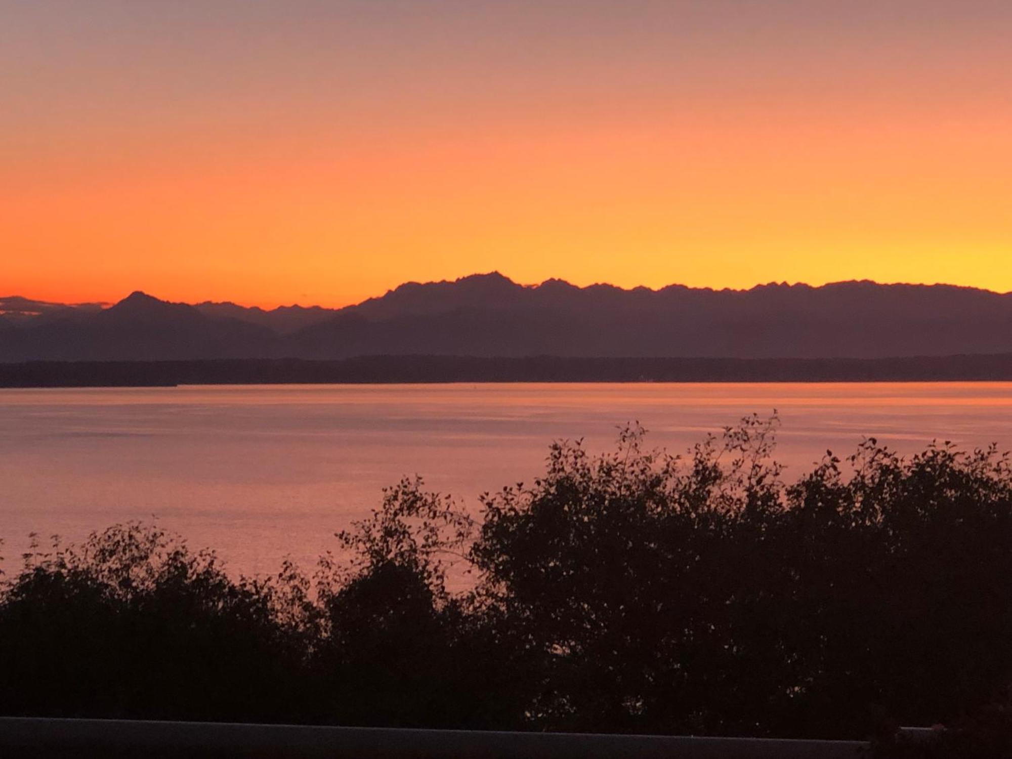 1-Bedroom Seaview Guesthouse On Seattle Luxury Estate With Views Of Olympic Mountains Extérieur photo